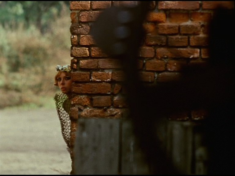 Daisies Sedmikrásky Vera Chytilová Second Run